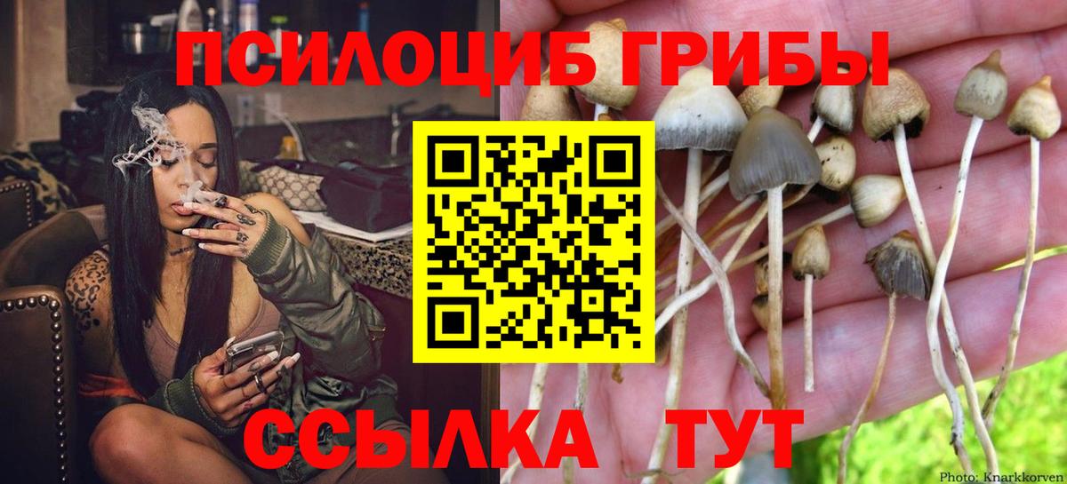 Галлюциногенные грибы GOLDEN TEACHER  Вход с VPN  Новокузнецк 